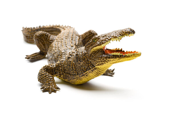 front view aligator toy on a white background