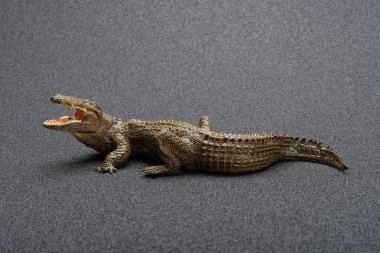 yan görünümü timsah oyuncak karanlık bir arka plan üzerinde