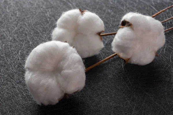 cotton balls on a black background