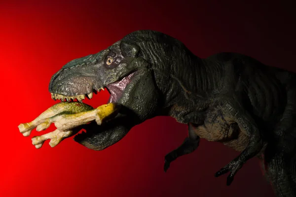 Tyrannosaurus Kousání Menší Dinosaura Bodové Světlo Hlavy Červené Světlo Pozadí — Stock fotografie