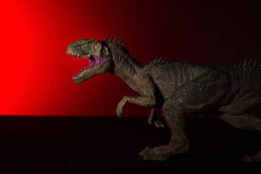 Allosaurus baş ve arka plan üzerinde kırmızı ışık spot ışık ile