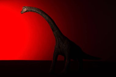 Brachiosaurus ile baş ve arka plan üzerinde kırmızı ışık spot ışık
