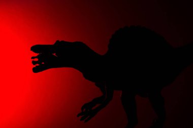 Karanlıkta kırmızı ışık ile daha küçük bir dinozor ısırma spinosaurus gölgesi