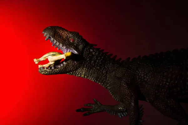 Carcharodontosaurus Biting Small Dinosaur Spot Light Head Red Light Background — Stock Photo, Image