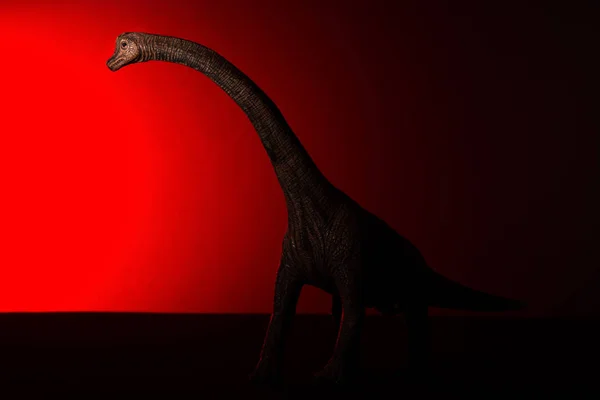 Брахиозавр Пятном Света Голове Красный Свет Заднем Плане — стоковое фото