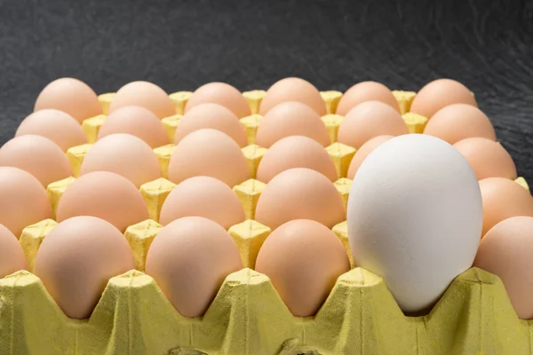 Huevo Ganso Tamaño Gigante Entre Huevos Gallina Pequeños Concepto Comparación — Foto de Stock