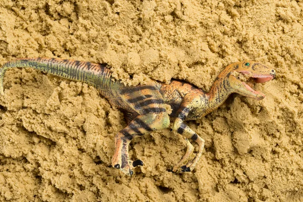 Velociraptor Sobre Arena Concepto Excavación Animales Históricos —  Fotos de Stock