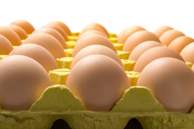 taze yumurta beyaz bir kağıt pakette yakın çekim