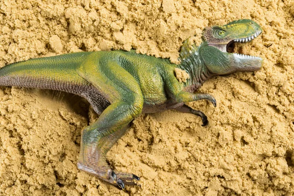 Tyrannosaurus Sand Begreppet Animaliska Schaktning — Stockfoto