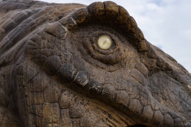 dinozor kafası yakın çekim