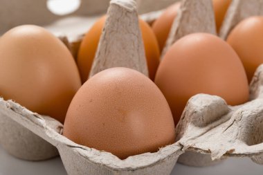 taze yumurta bir kağıt pakette yakın çekim
