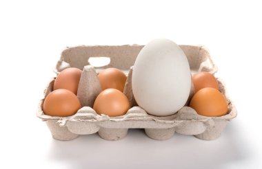 Dev boyutu sıfır boyut karşılaştırma paket kavramı küçük tavuk yumurta arasında