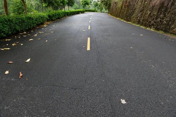 Route Avec Des Arbres Des Deux Côtés — Photo