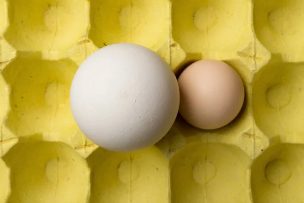 Vue Dessus Oeuf Oie Géant Taille Côté Oeuf Poulet Sur — Photo