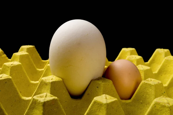 Гигантский Размер Гусиного Яйца Рядом Куриным Яйцом Упаковке Концепции Сравнения — стоковое фото
