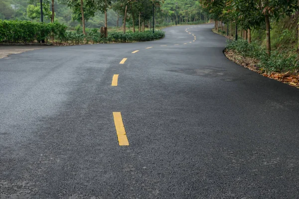 Road Trees Both Sides — Stock Photo, Image