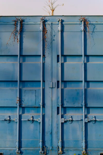 蓝色货物集装箱门关闭 — 图库照片