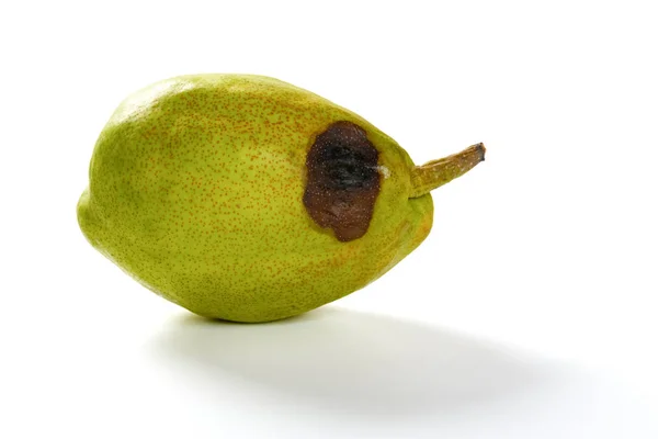 白色背景上的过熟的绿色梨子 — 图库照片
