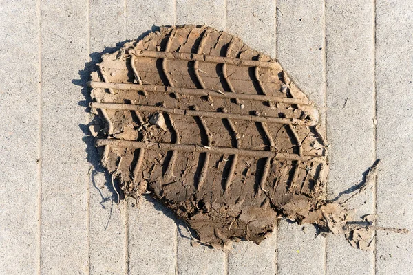 A piece of dry soil with tyre mark on the ground — Stock Photo, Image