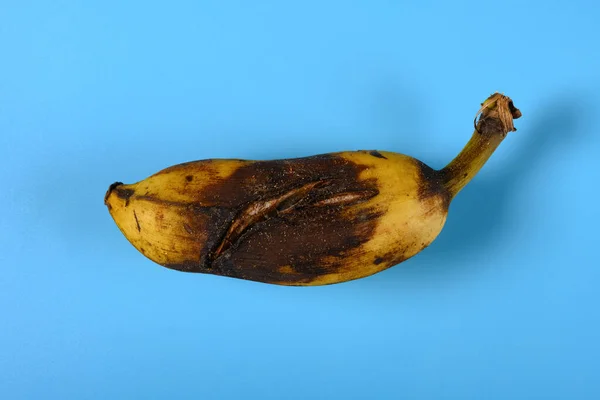 蓝底香蕉过熟 — 图库照片