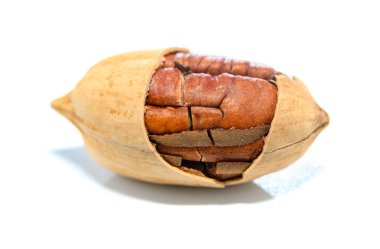 Soyulmuş şam fıstığı. Beyaz arka plana yakın.