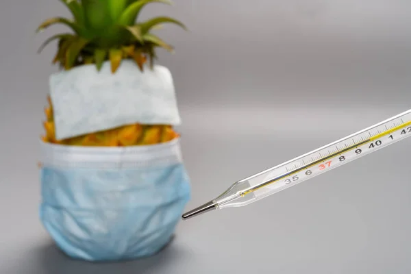 Mercury Thermometer Degrees Centigrade Pineapple Wears Mask Sticks Cooler Pad — Stock Photo, Image