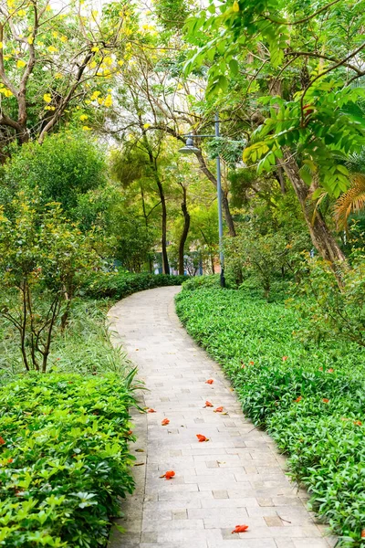 Sentier Extérieur Incurvé Dans Parc — Photo