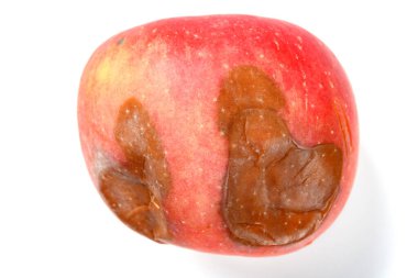 beyaz bir arka plan üzerinde üst görünümü çürük elma