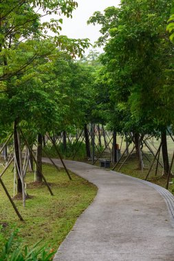 bir parkta eğri açık yolu