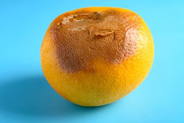 Přezrálý Shnilý Grapefruit Modrém Pozadí — Stock fotografie
