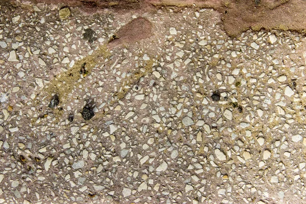 Beton eski duvar. Yakın.