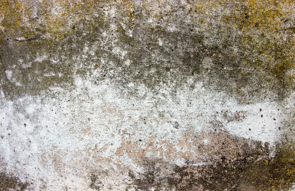 含有苔藓元素的旧混凝土墙 — 图库照片