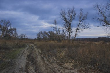 Karanlık gökyüzü ile güzel sonbahar manzarası