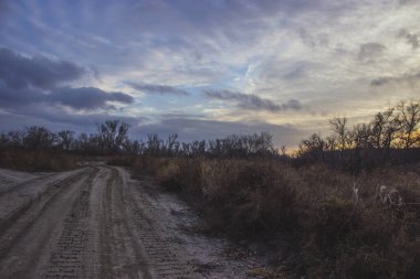 Karanlık gökyüzü ile güzel sonbahar manzarası