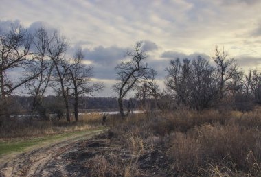 Nehirdeki güzel sonbahar manzarası.