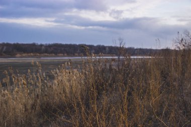 Nehirdeki güzel sonbahar manzarası.