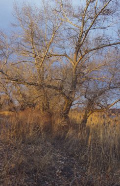 Nehirdeki güzel sonbahar manzarası.