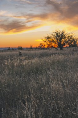 Güzel yaz günbatımı. Güzel gökyüzü.