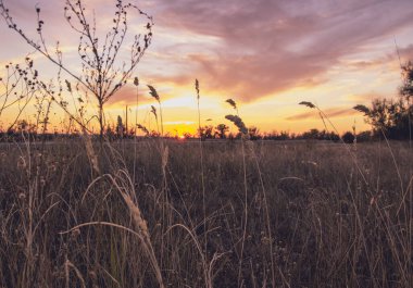 Güzel yaz günbatımı. Güzel gökyüzü.
