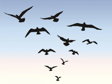 Üzerinde mavi gökyüzü uçan kuş sürüsü 