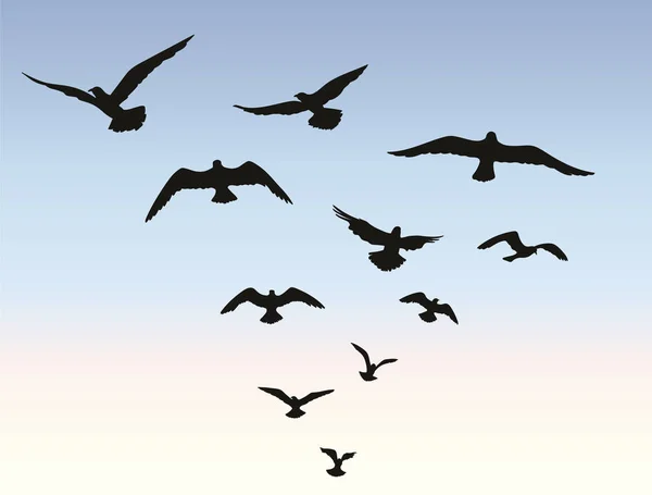 Gregge di uccelli che sorvola il cielo blu — Vettoriale Stock
