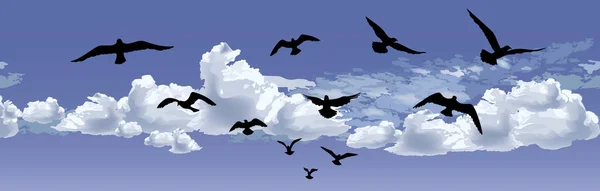 Birds flying silhouette over blue sky