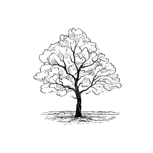 Arbre avec illustration de feuilles — Image vectorielle