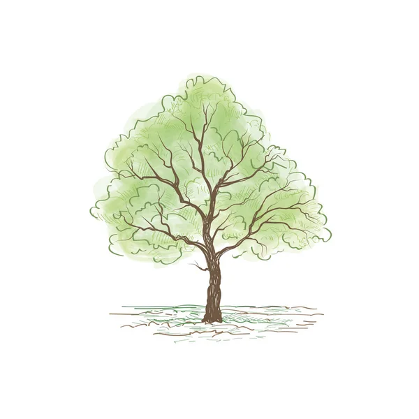 Arbre avec illustration de feuilles — Image vectorielle