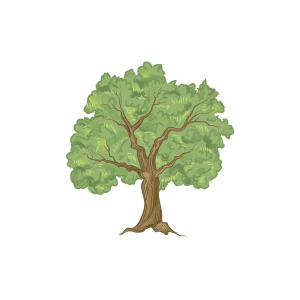 Arbre avec illustration de feuilles — Image vectorielle