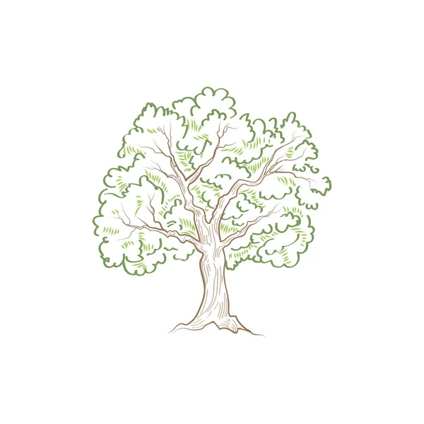 Träd med blad illustration — Stock vektor