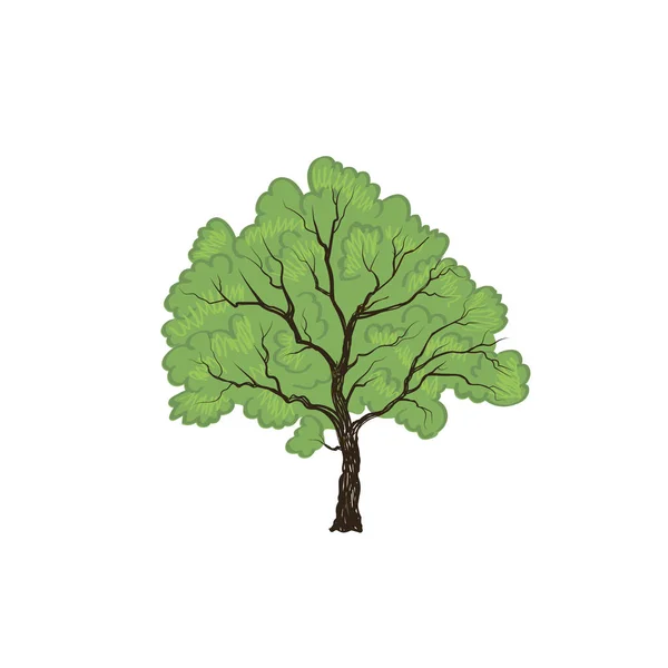 Träd med blad illustration — Stock vektor