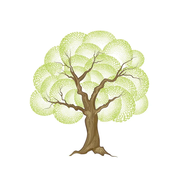 Arbre avec illustration de feuilles — Image vectorielle