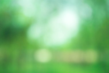 Bulanık doğa soyut arkaplan, bokeh arkaplan soyut