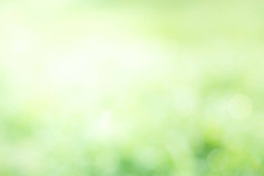 Buddha 'nın elinde kurumuş nilüfer çiçeği